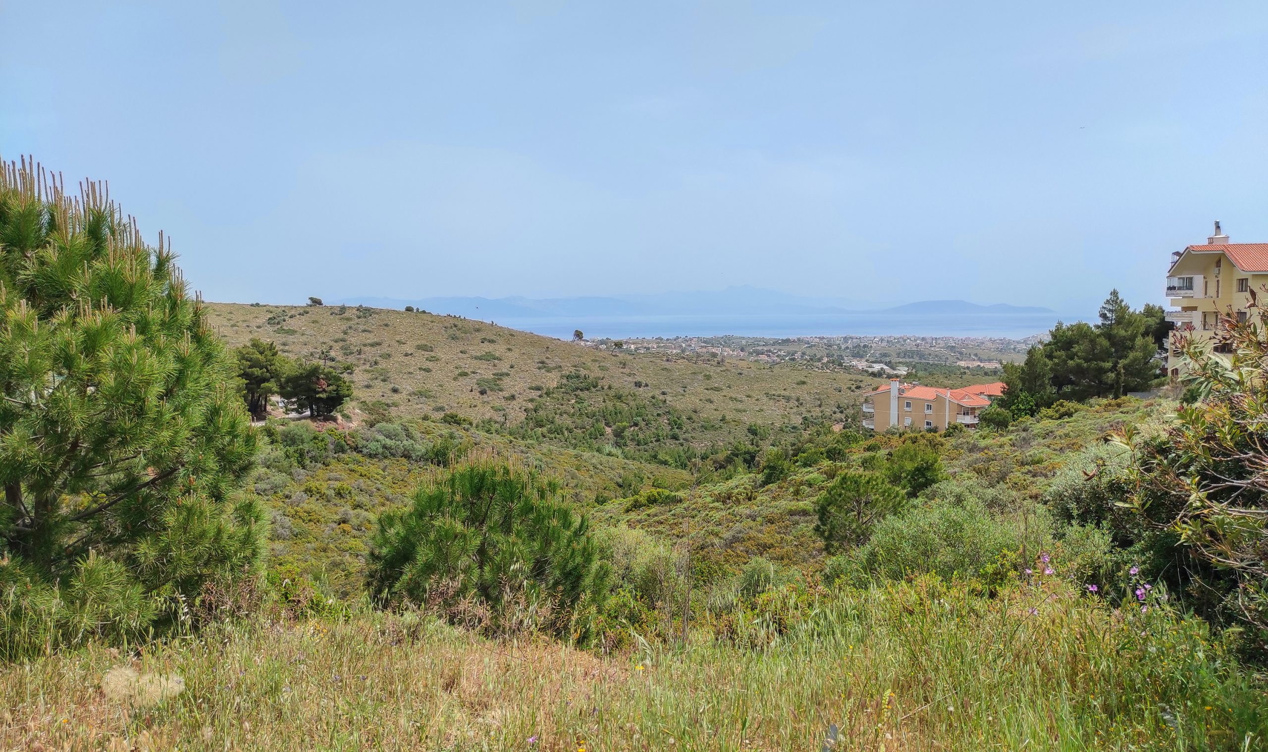 Read more about the article Finalising Greece’s land registry: What Greeks abroad need to know